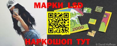 прущие грибы Будённовск