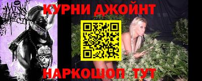 прущие грибы Будённовск