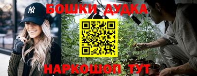 прущие грибы Будённовск
