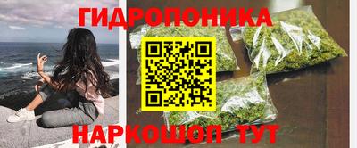 прущие грибы Будённовск