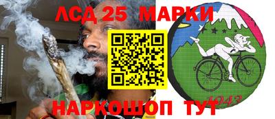 прущие грибы Будённовск