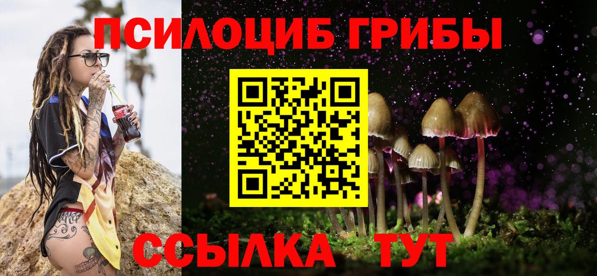 Галлюциногенные грибы MAGIC MUSHROOMS  Гуково 