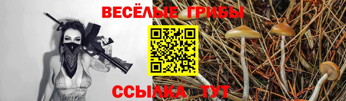наркошоп  Галлюциногенные грибы Psilocybine cubensis  Вход с VPN  Гуково 
