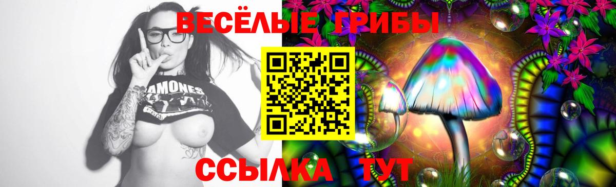 Псилоцибиновые грибы GOLDEN TEACHER Гуково