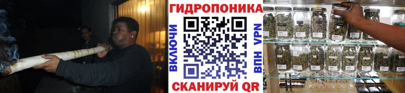 кракен   Гуково  Канабис план 
